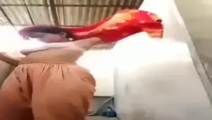 Sexy Girl Showing Big Pussy Boobs, Masterbation Show Gurl