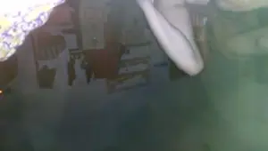 Upside down amateurs