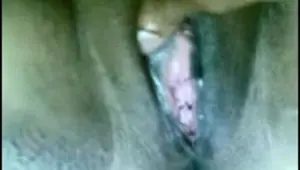 Close up Ebony pussy