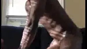 divorced mom riding bbc like a pro new