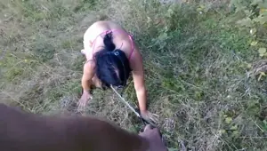 I own a slut PET COLLAR LEASH WALK
