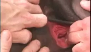 ebony bbw gangbang video 1