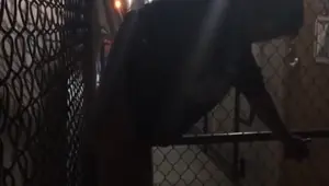 Nerd Given a Public Hanging Wedgie