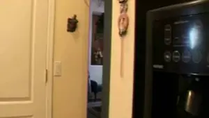 Redneck Fucks Old Fat Mom