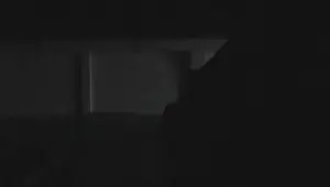 Explicit cock pleasuring video 27